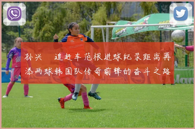 孙兴慜追赶车范根进球纪录距离再添两球韩国队传奇前锋的奋斗之路